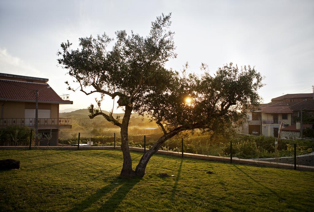 Casas De Vale De Lobo Villa มิแรนเดลา ภายนอก รูปภาพ